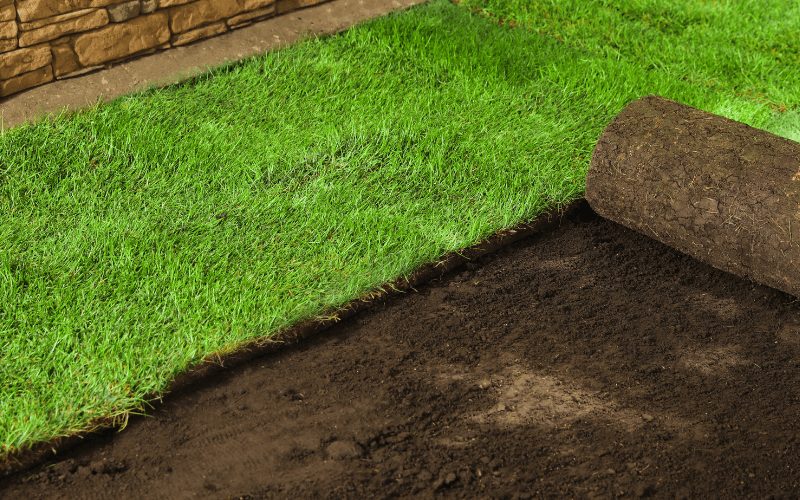 Sod Installation Services in Bentonville, MI